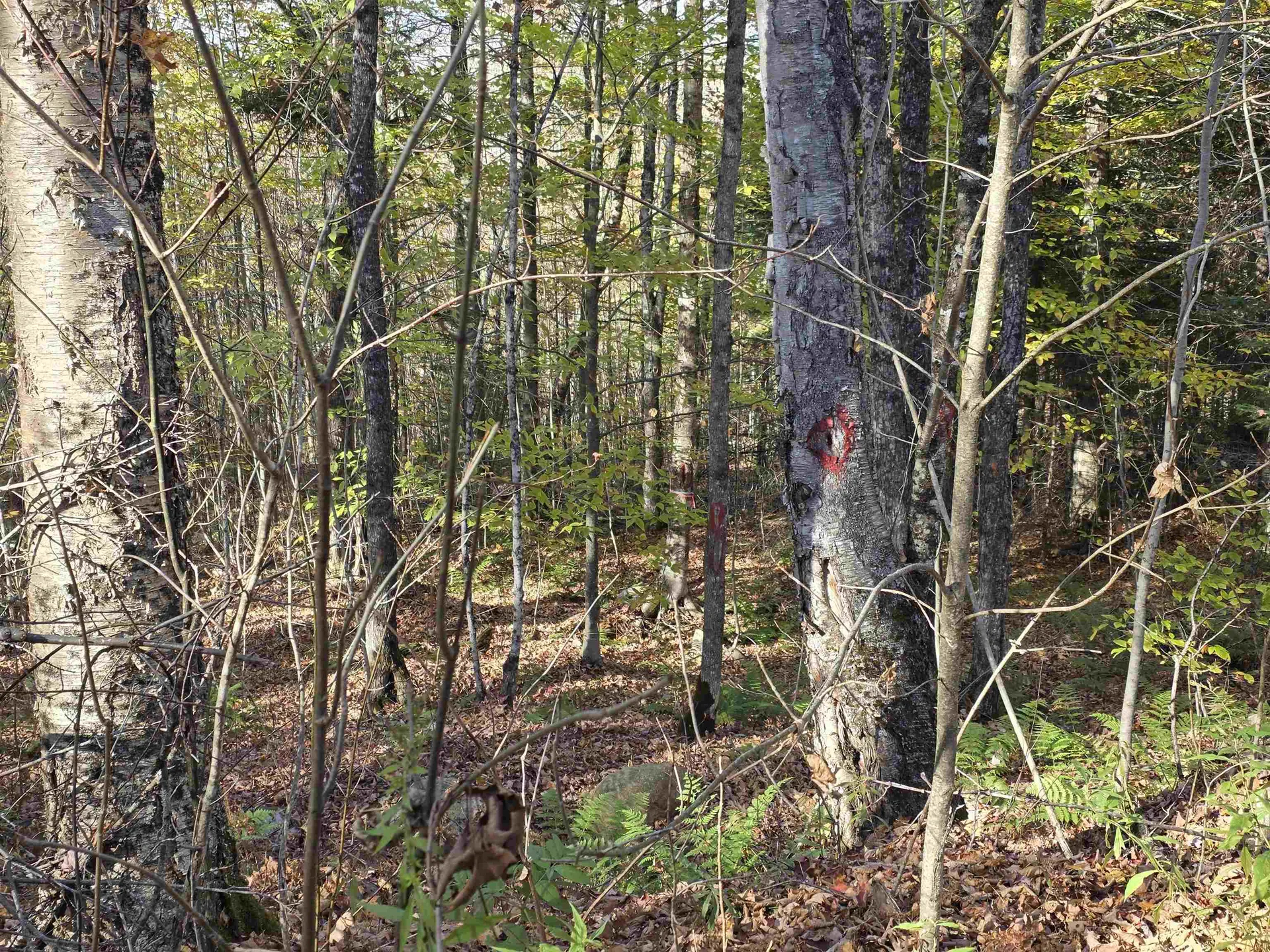 Washburn Road Columbia NH 03576