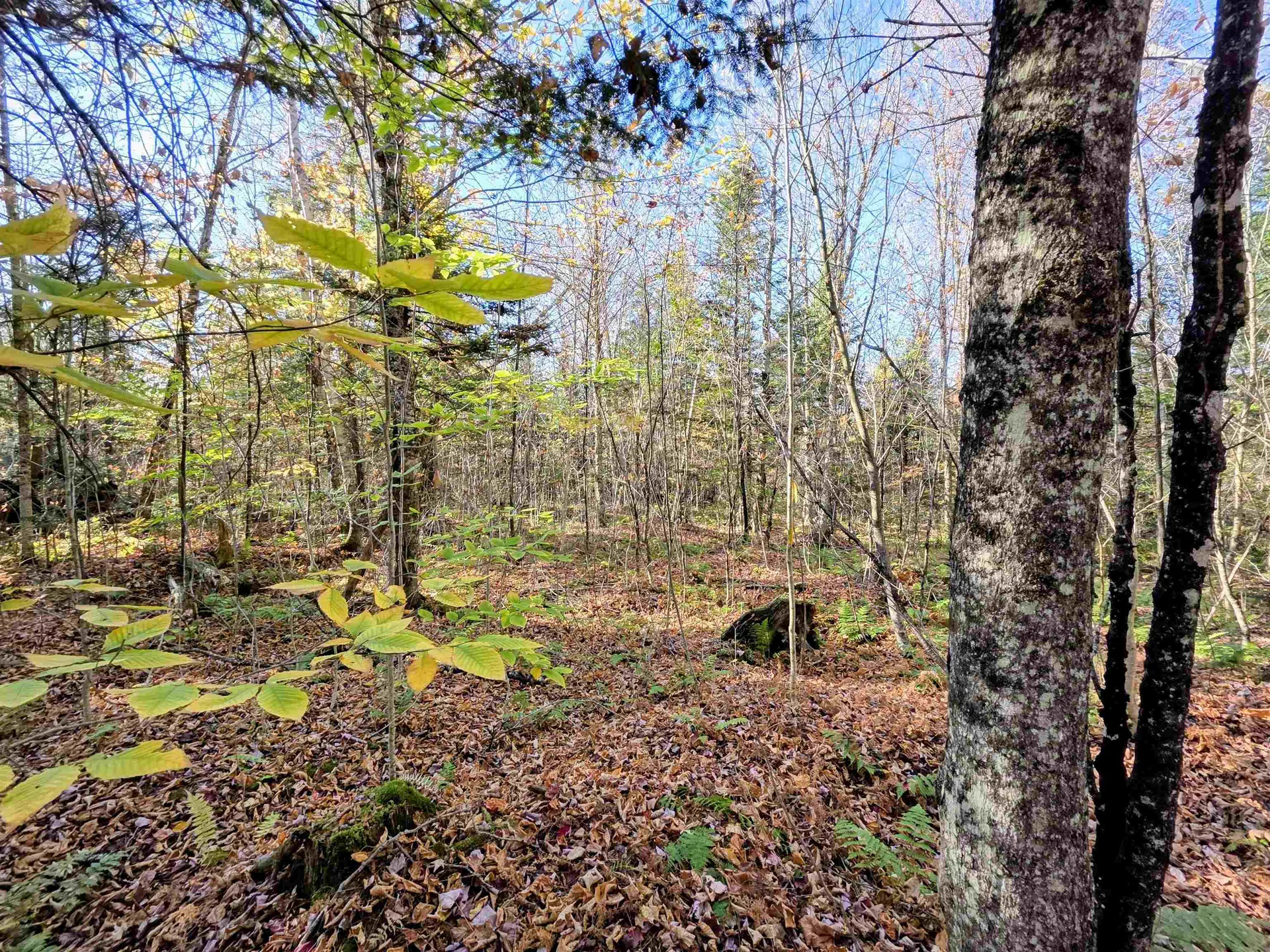 Washburn Road Columbia NH 03576