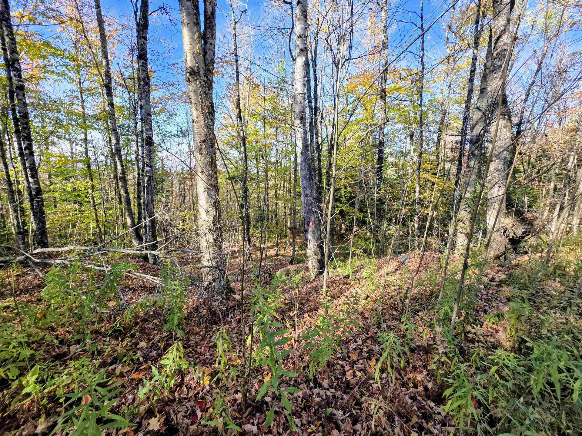 Washburn Road Columbia NH 03576