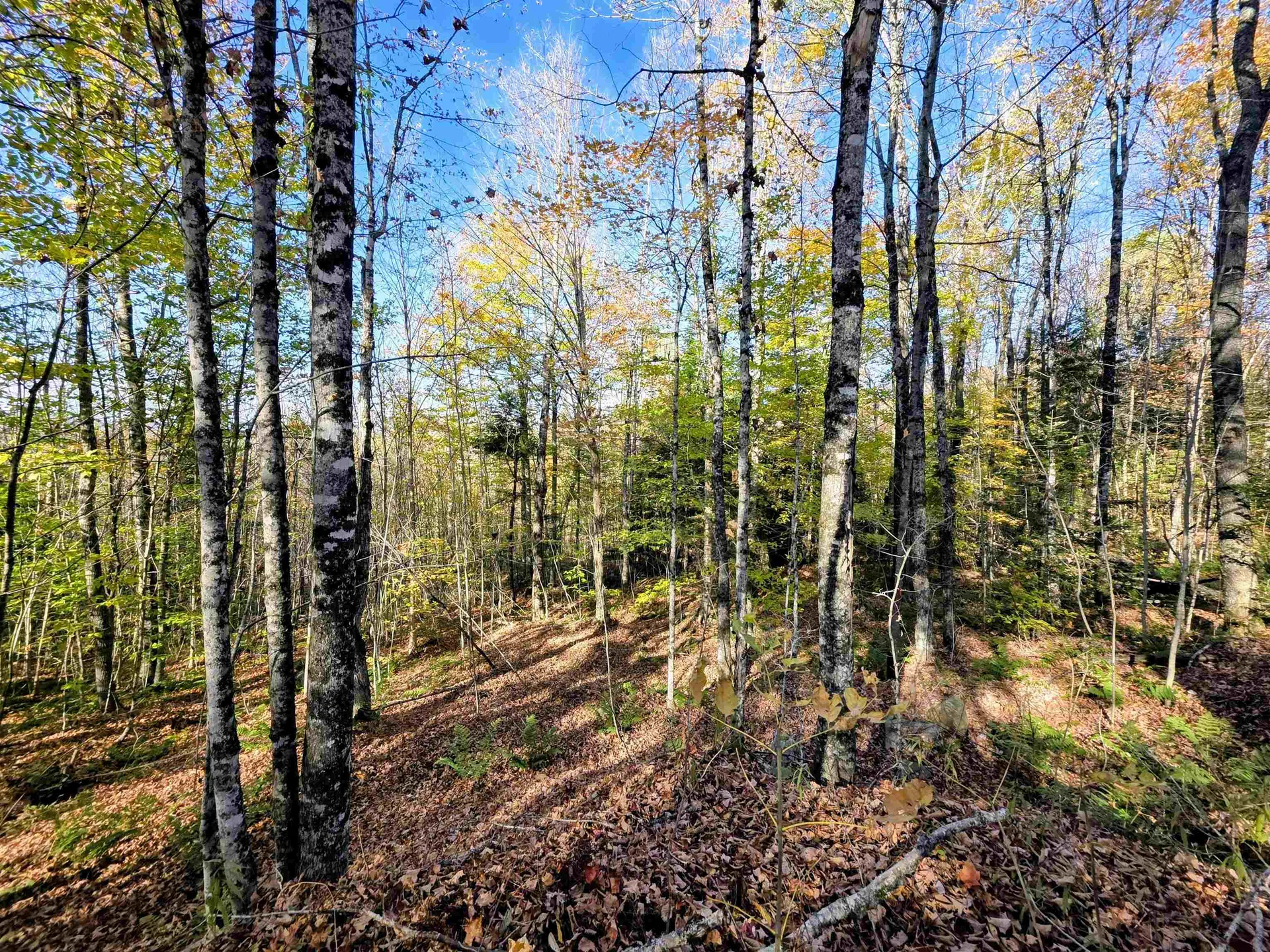 Washburn Road Columbia NH 03576