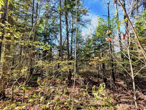 Washburn Road Columbia NH 03576