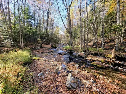 Washburn Road Columbia NH 03576