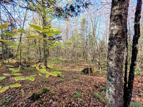 Washburn Road Columbia NH 03576