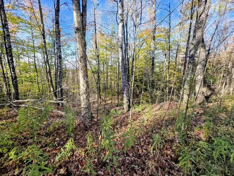 Washburn Road Columbia NH 03576