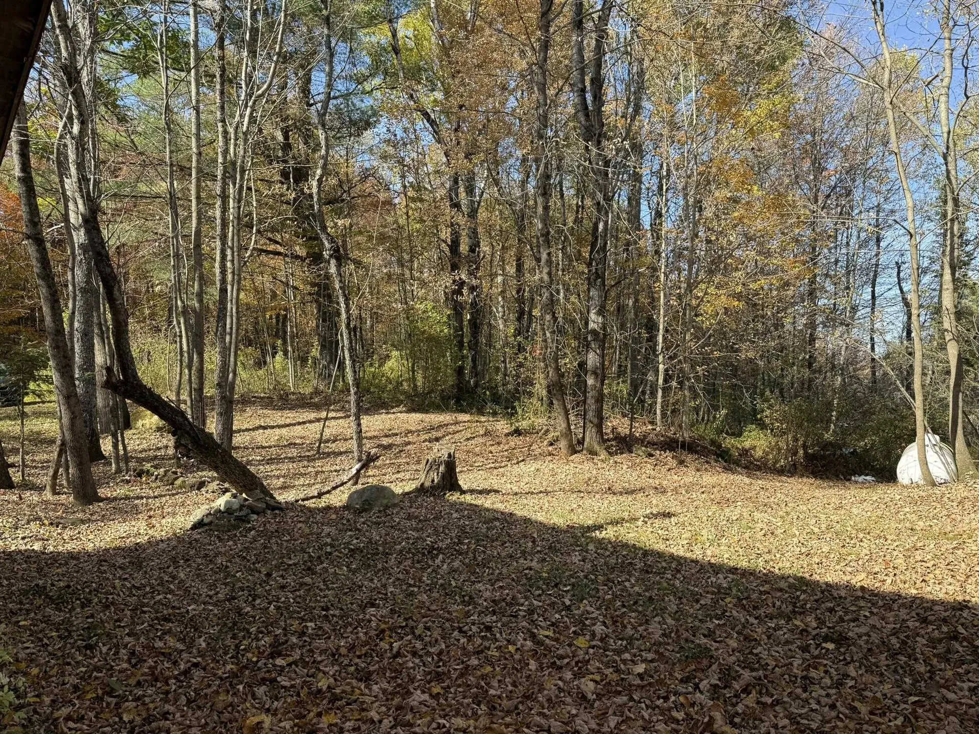 97 Courchaine Farm Road Wolcott VT 05680