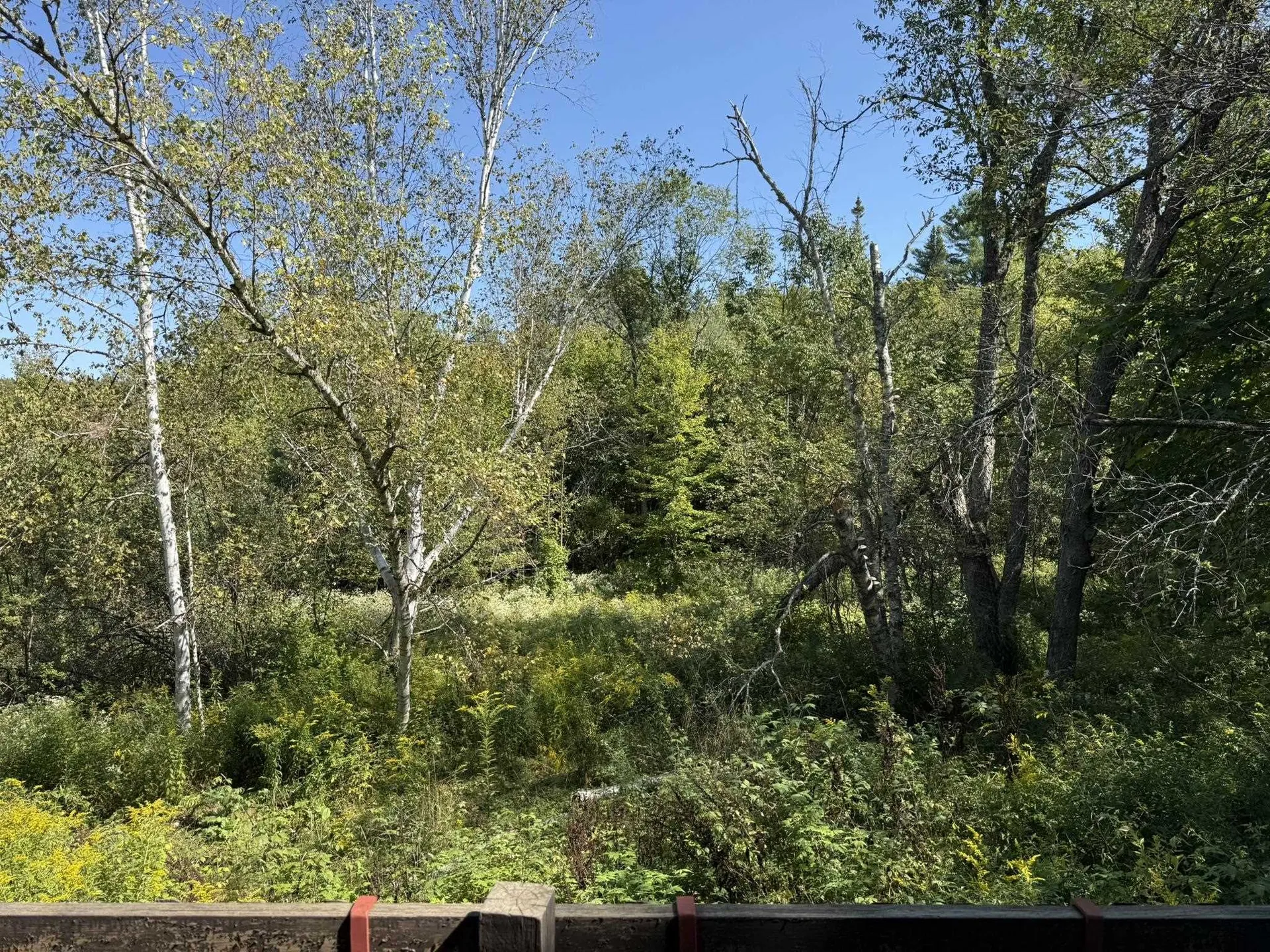 97 Courchaine Farm Road Wolcott VT 05680