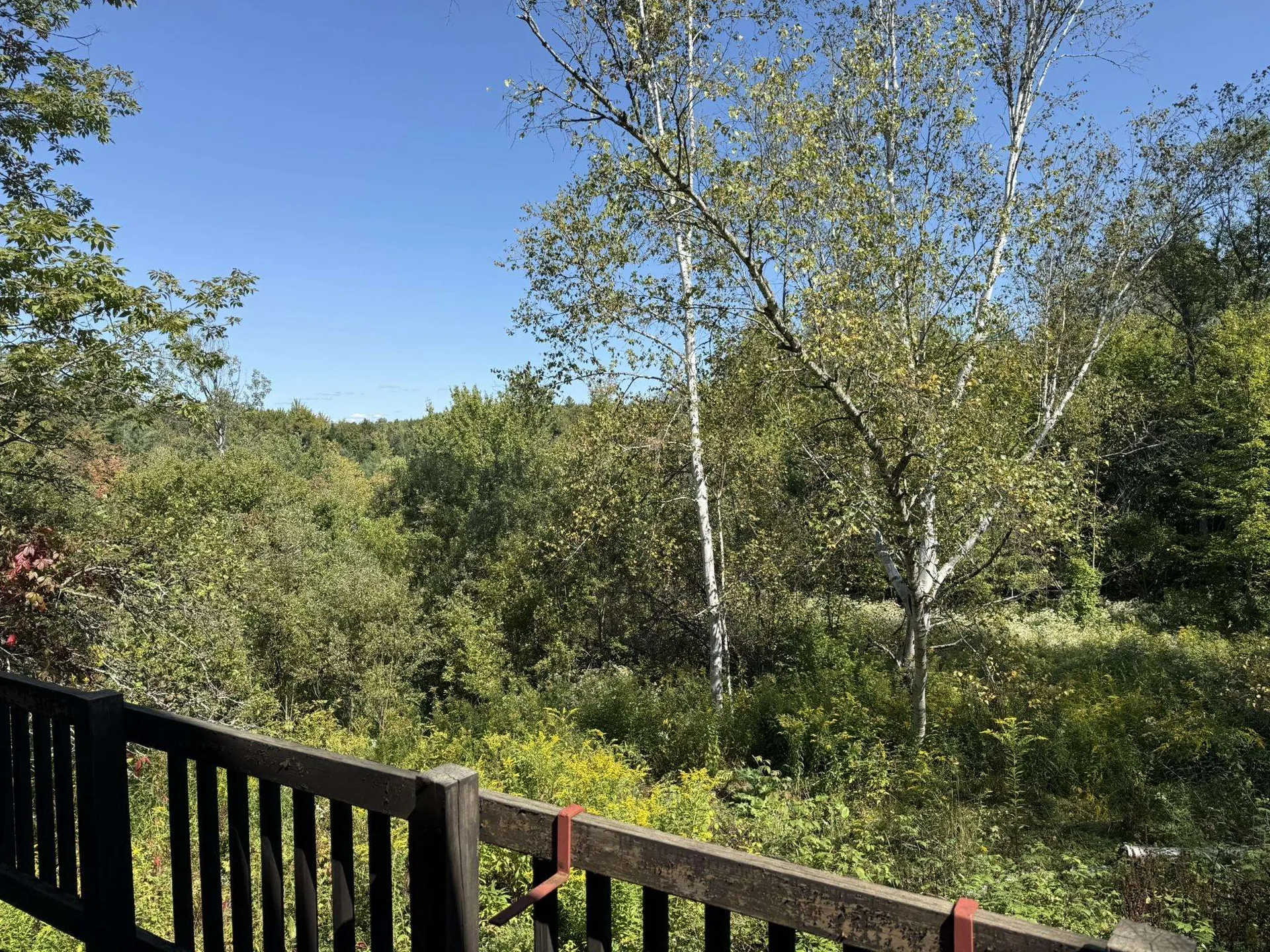 97 Courchaine Farm Road Wolcott VT 05680