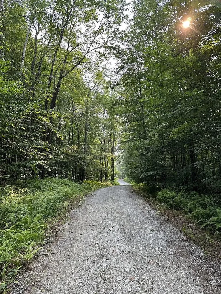 24 Benton Drive Chittenden VT 05737