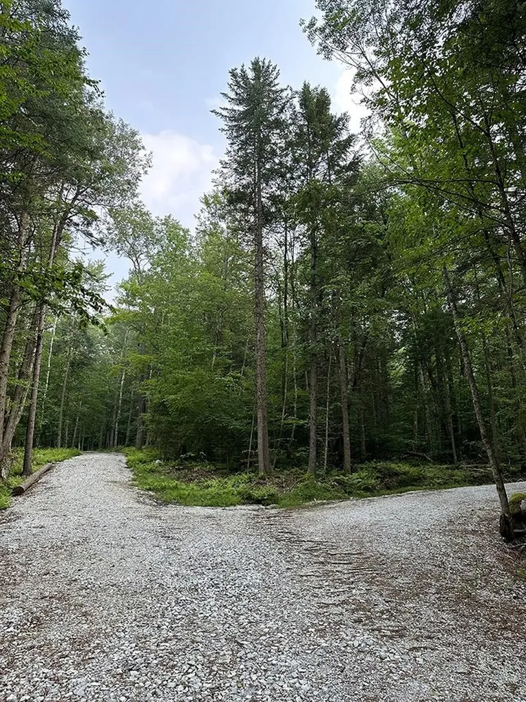 24 Benton Drive Chittenden VT 05737