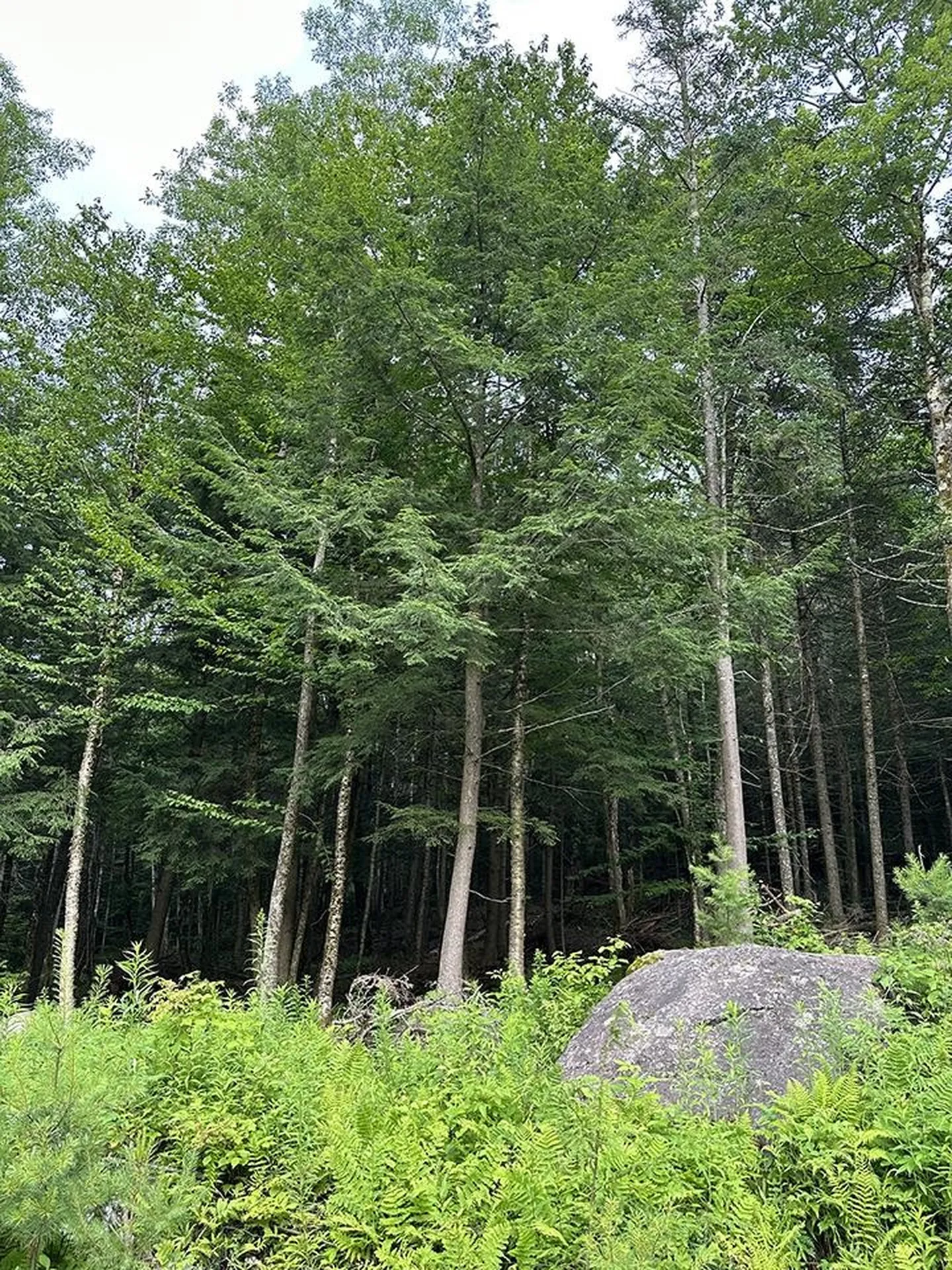 24 Benton Drive Chittenden VT 05737