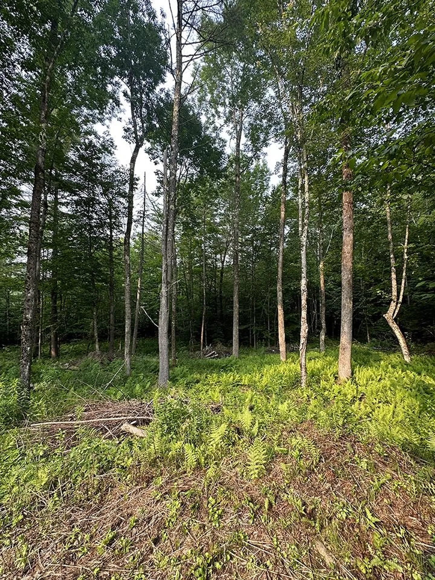 24 Benton Drive Chittenden VT 05737