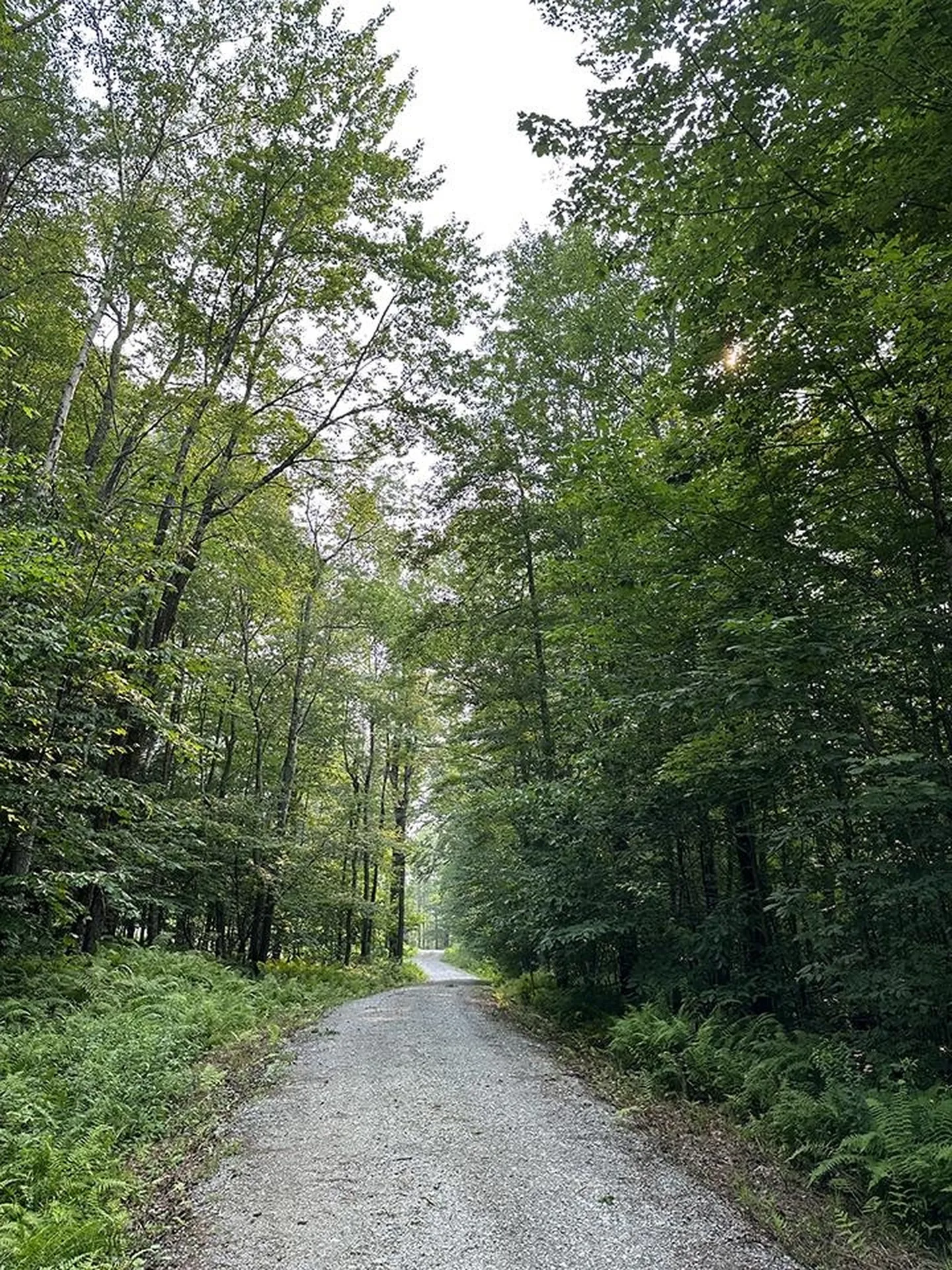 24 Benton Drive Chittenden VT 05737