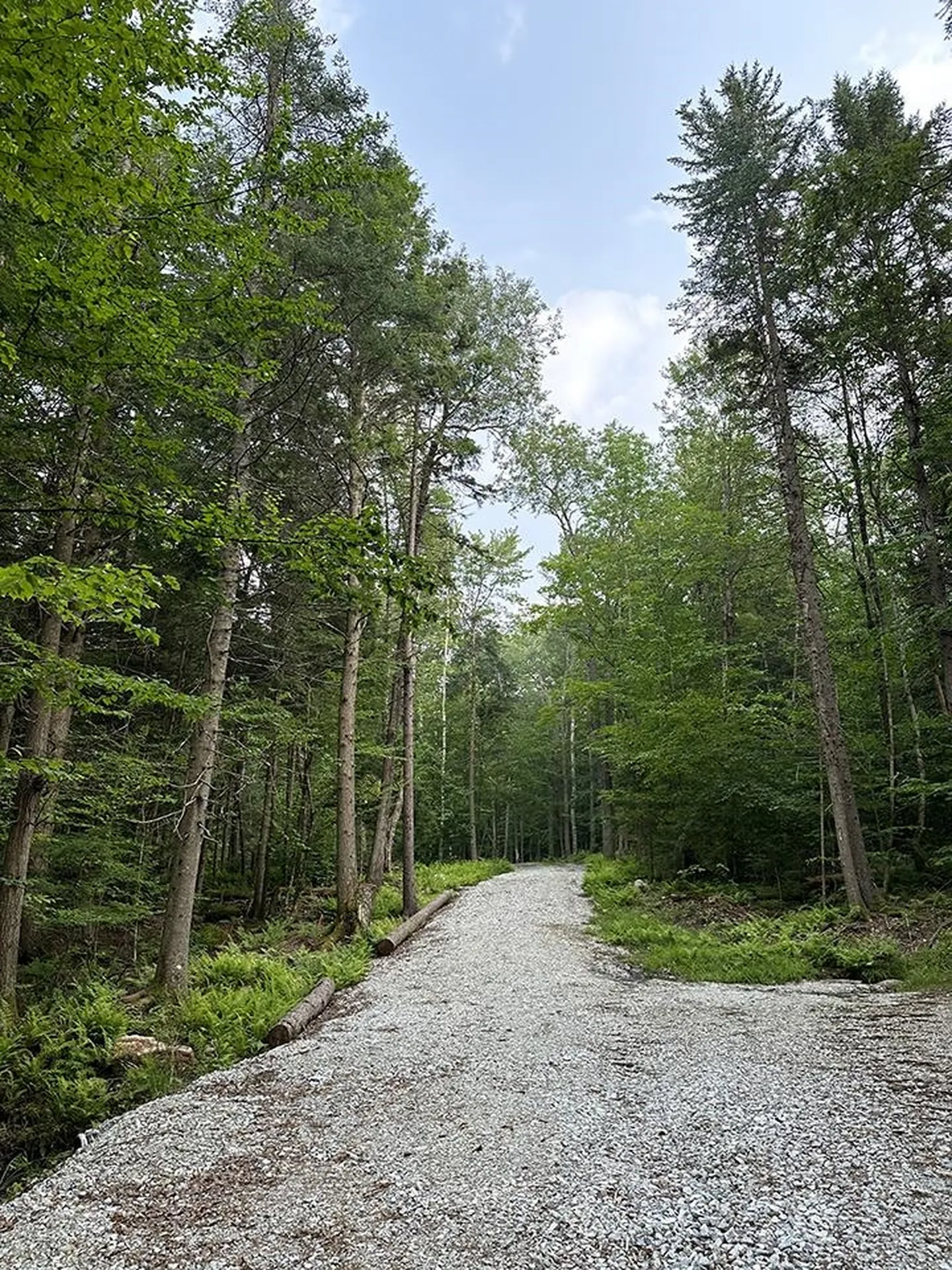 24 Benton Drive Chittenden VT 05737