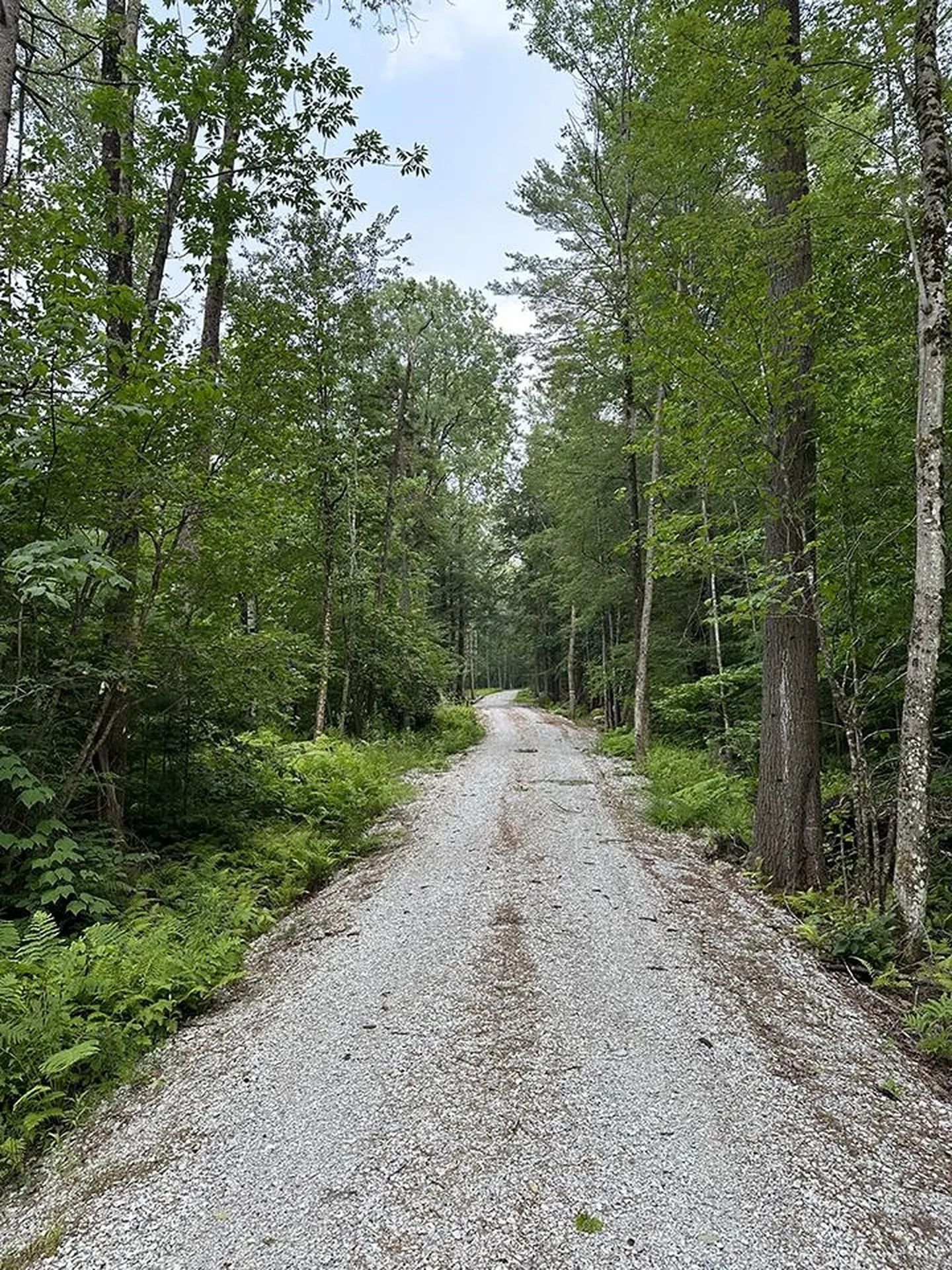 24 Benton Drive Chittenden VT 05737