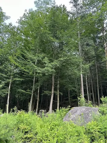 24 Benton Drive Chittenden VT 05737