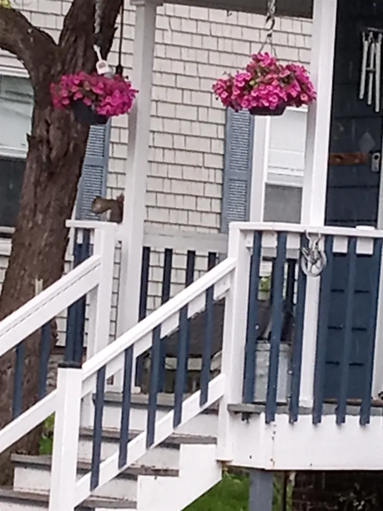 25 Laurel Street Berlin NH 03570