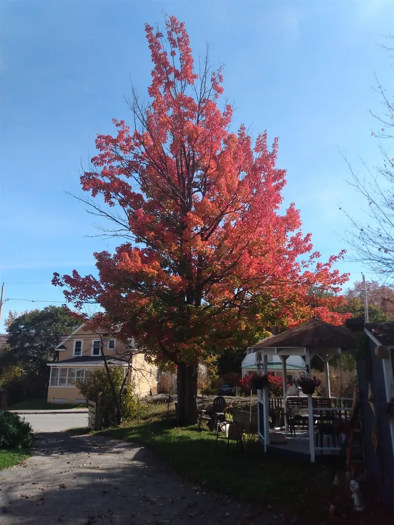 25 Laurel Street Berlin NH 03570