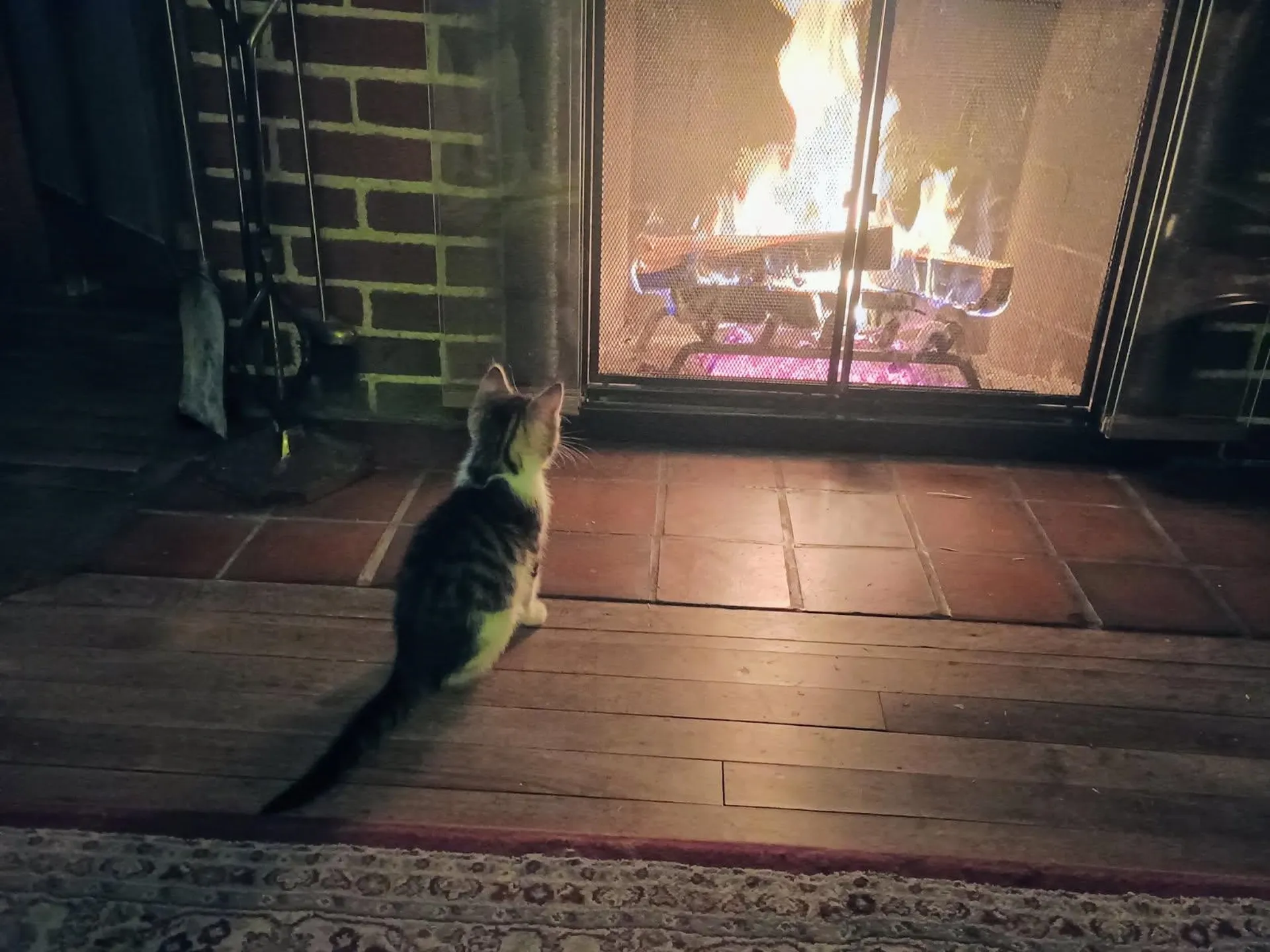 25 Laurel Street Berlin NH 03570