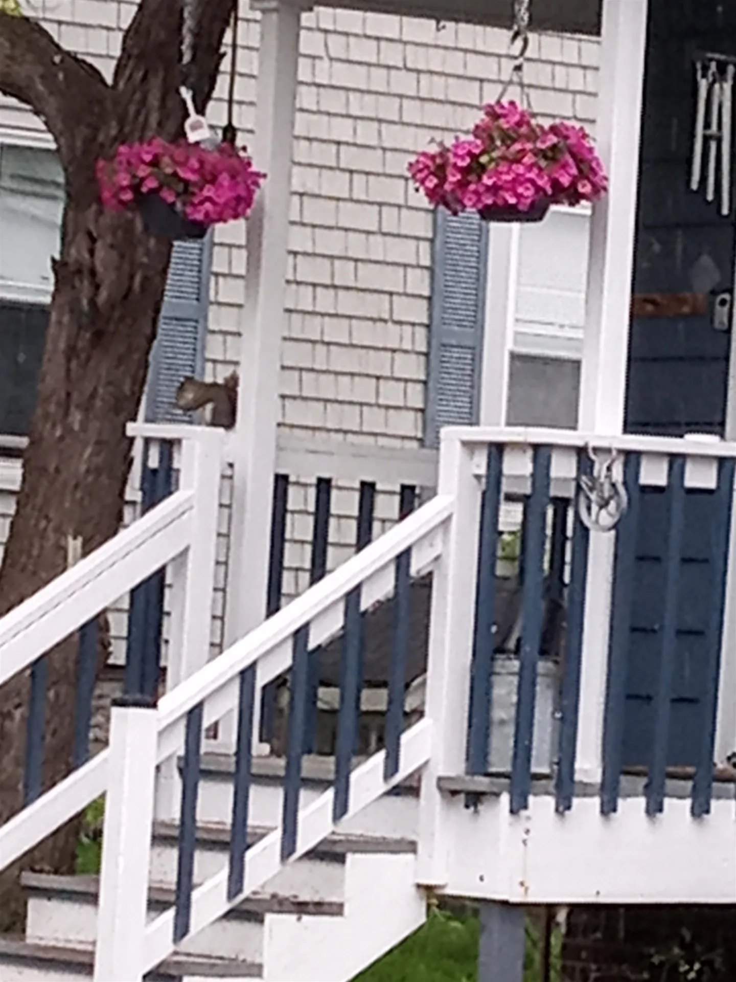 25 Laurel Street Berlin NH 03570