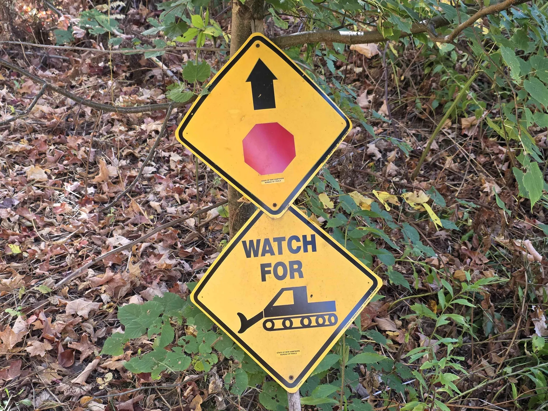 42 Maple Street Bethlehem NH 03574