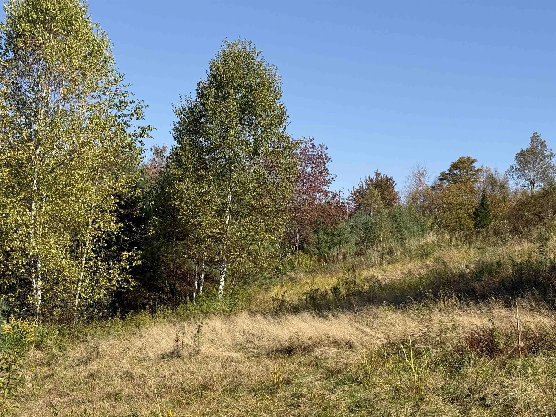 216 Ghastly Job Way Wilmington VT 05363