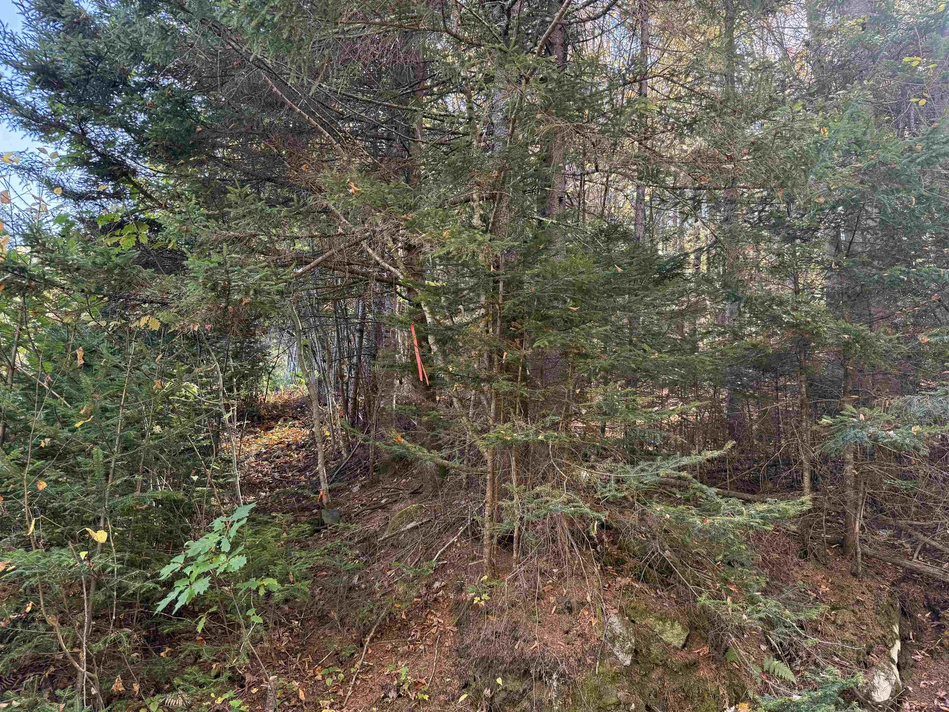 216 Ghastly Job Way Wilmington VT 05363