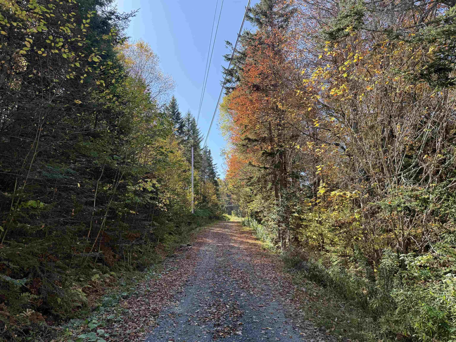 216 Ghastly Job Way Wilmington VT 05363