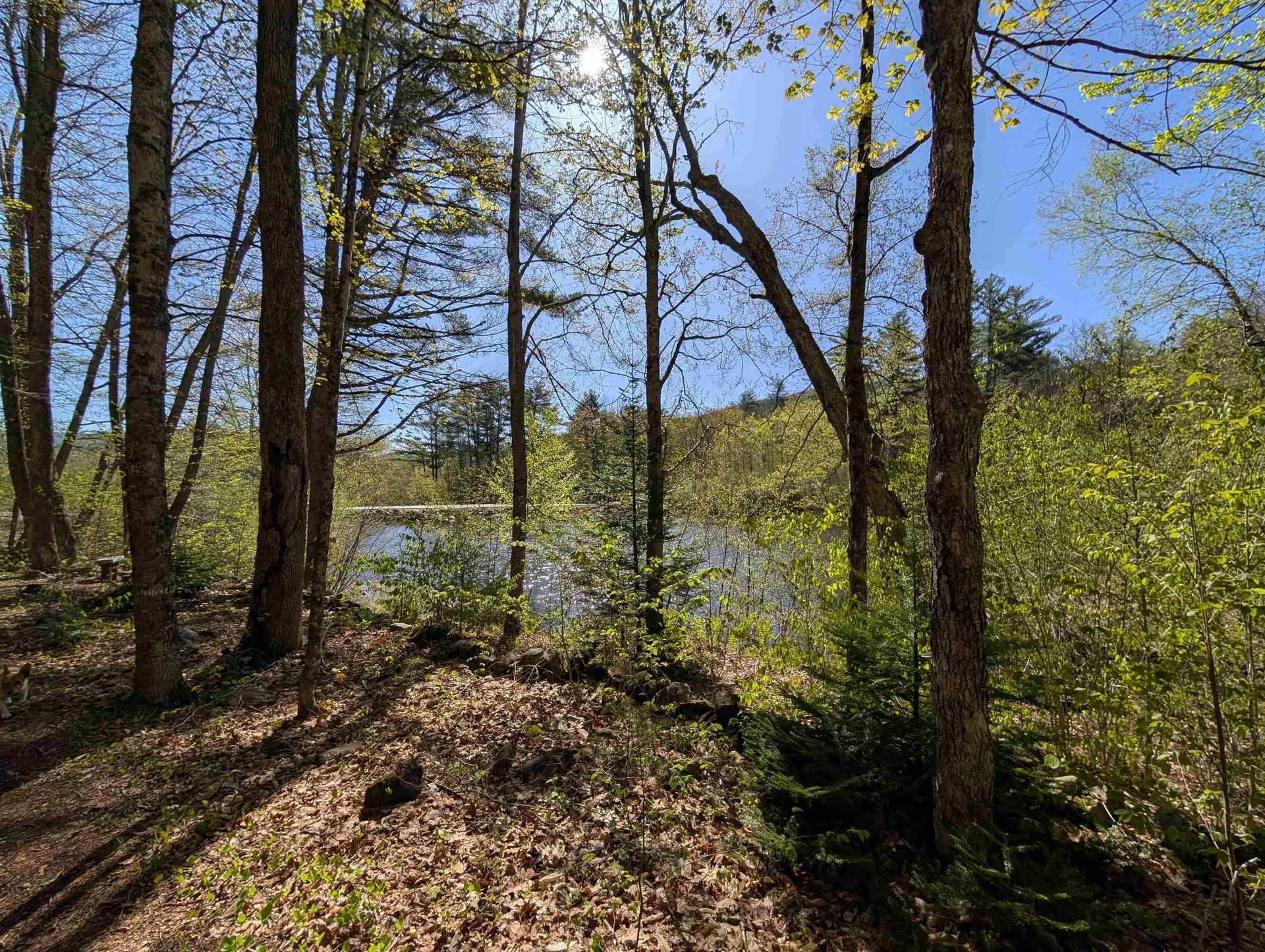 28-1 Condo Road Campton NH 03223