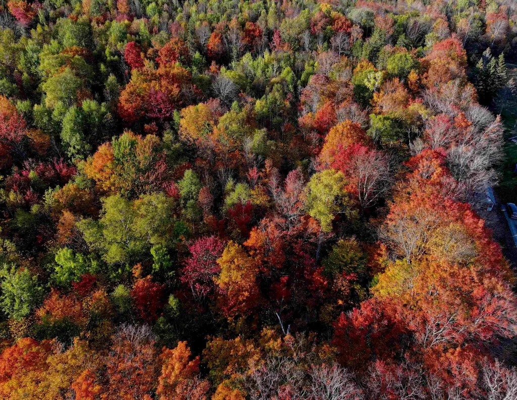 Lot 3 Ide Mountain Drive Wheelock VT 05851