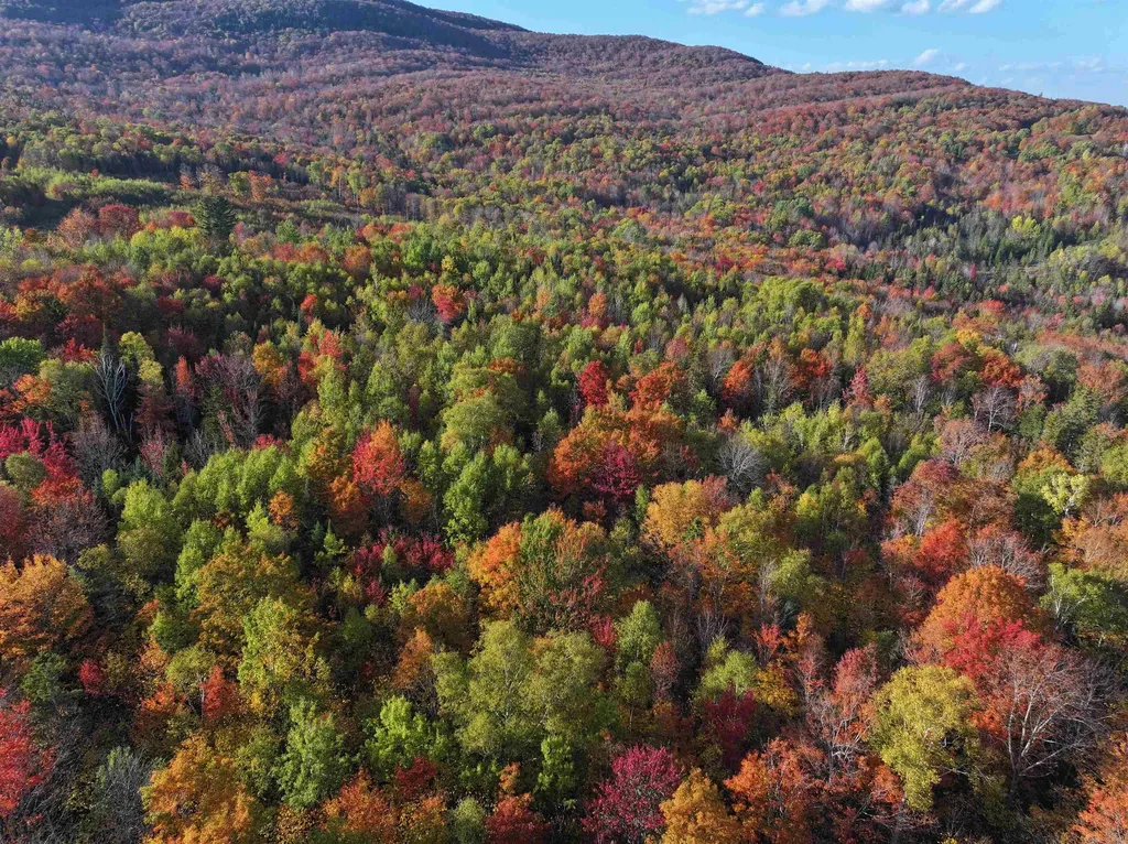 Lot 3 Ide Mountain Drive Wheelock VT 05851