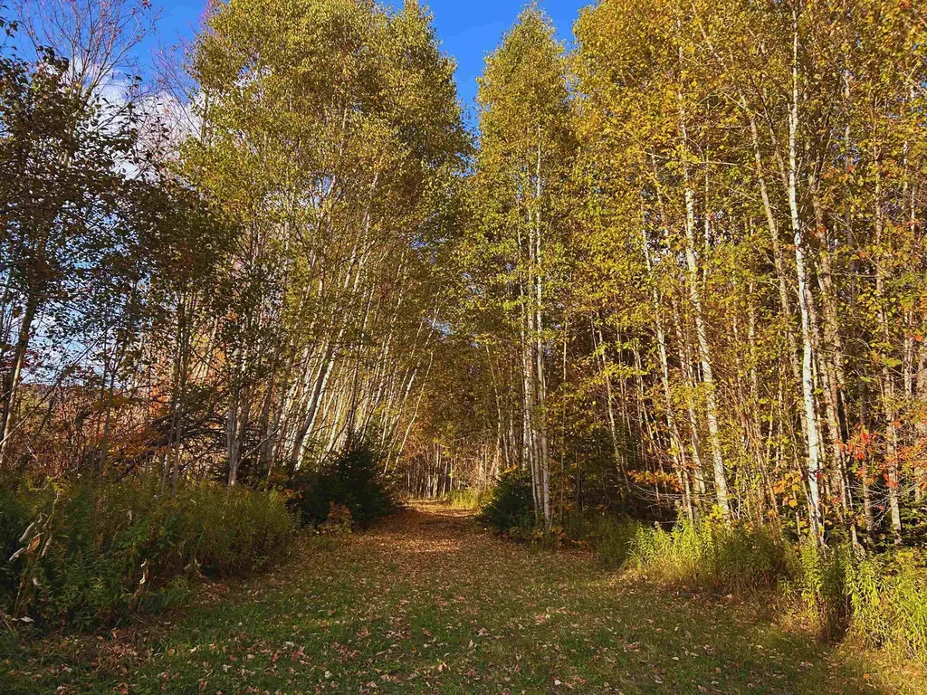 Lot 3 Ide Mountain Drive Wheelock VT 05851
