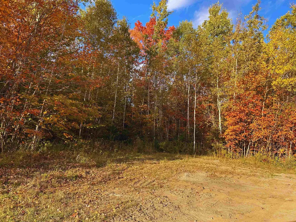 Lot 3 Ide Mountain Drive Wheelock VT 05851