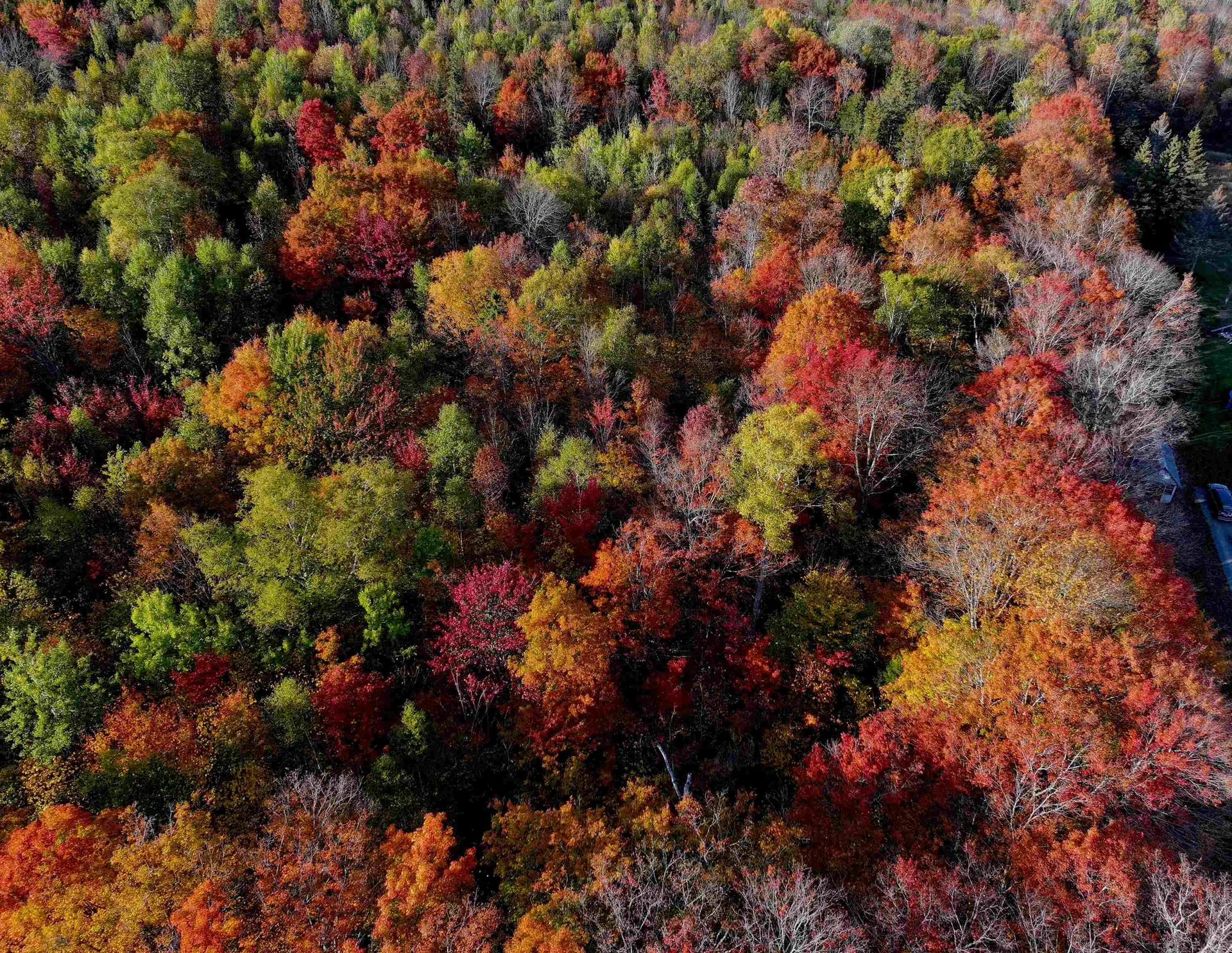 Lot 3 Ide Mountain Drive Wheelock VT 05851