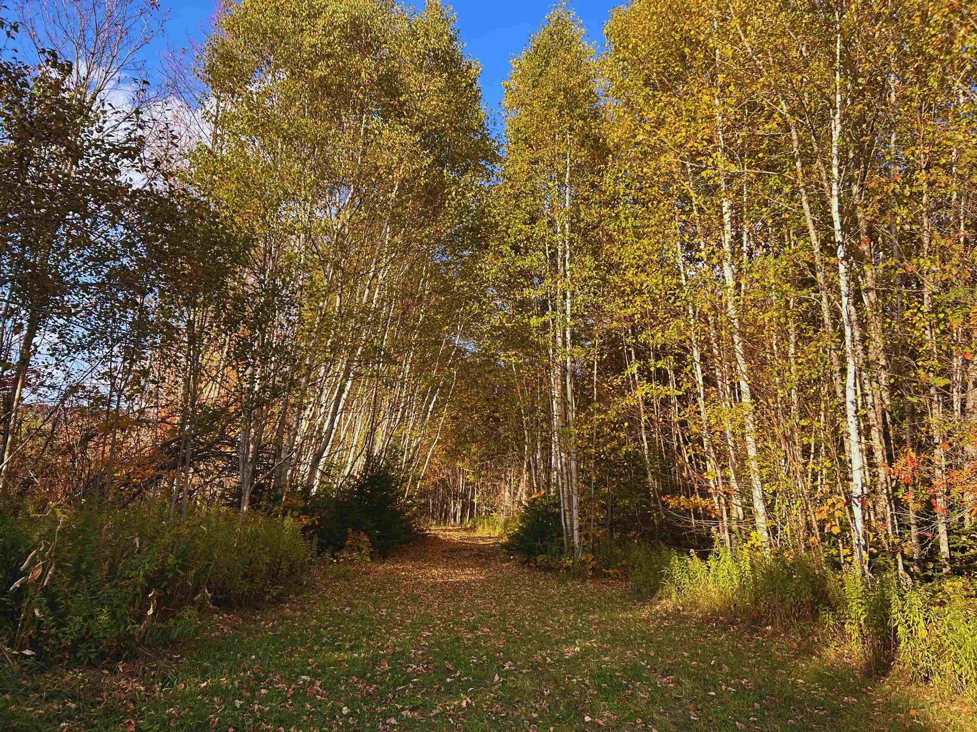 Lot 3 Ide Mountain Drive Wheelock VT 05851