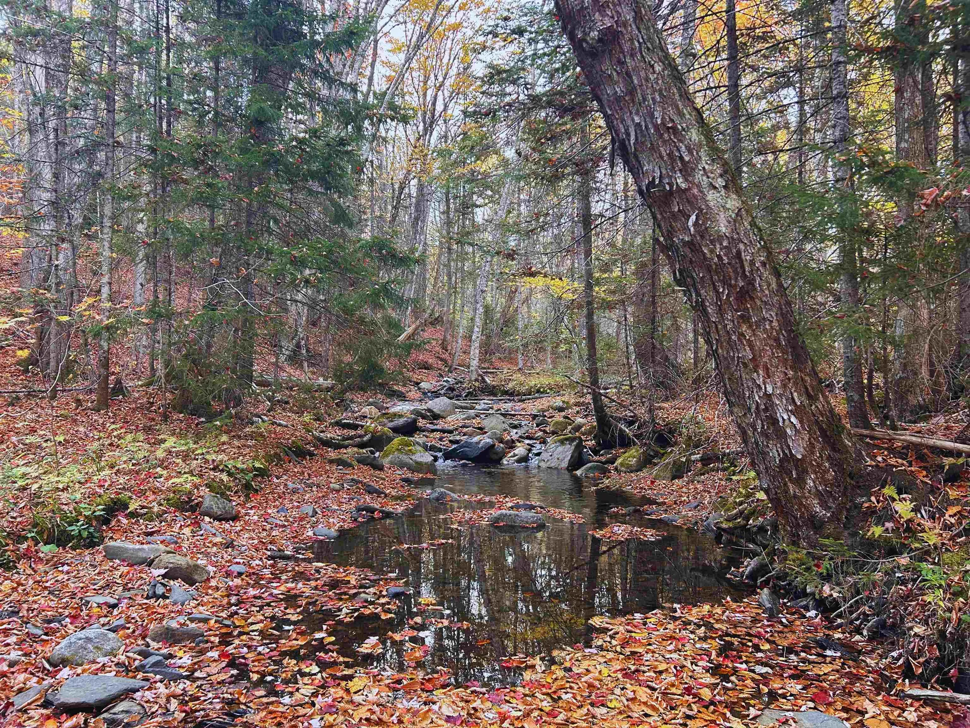 Lot 3 Ide Mountain Drive Wheelock VT 05851