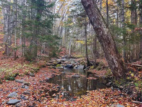 Lot 3 Ide Mountain Drive Wheelock VT 05851