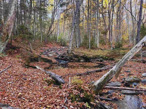 Lot 3 Ide Mountain Drive Wheelock VT 05851