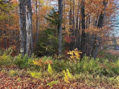 Lot 3 Ide Mountain Drive Wheelock VT 05851