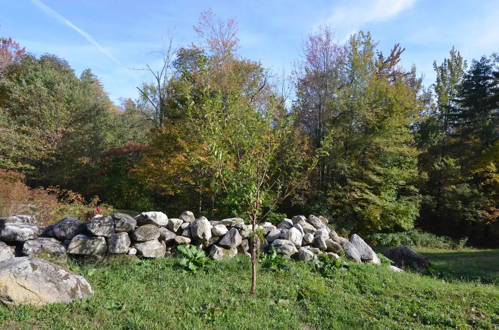 435 Messer Hill Road Springfield NH 03284