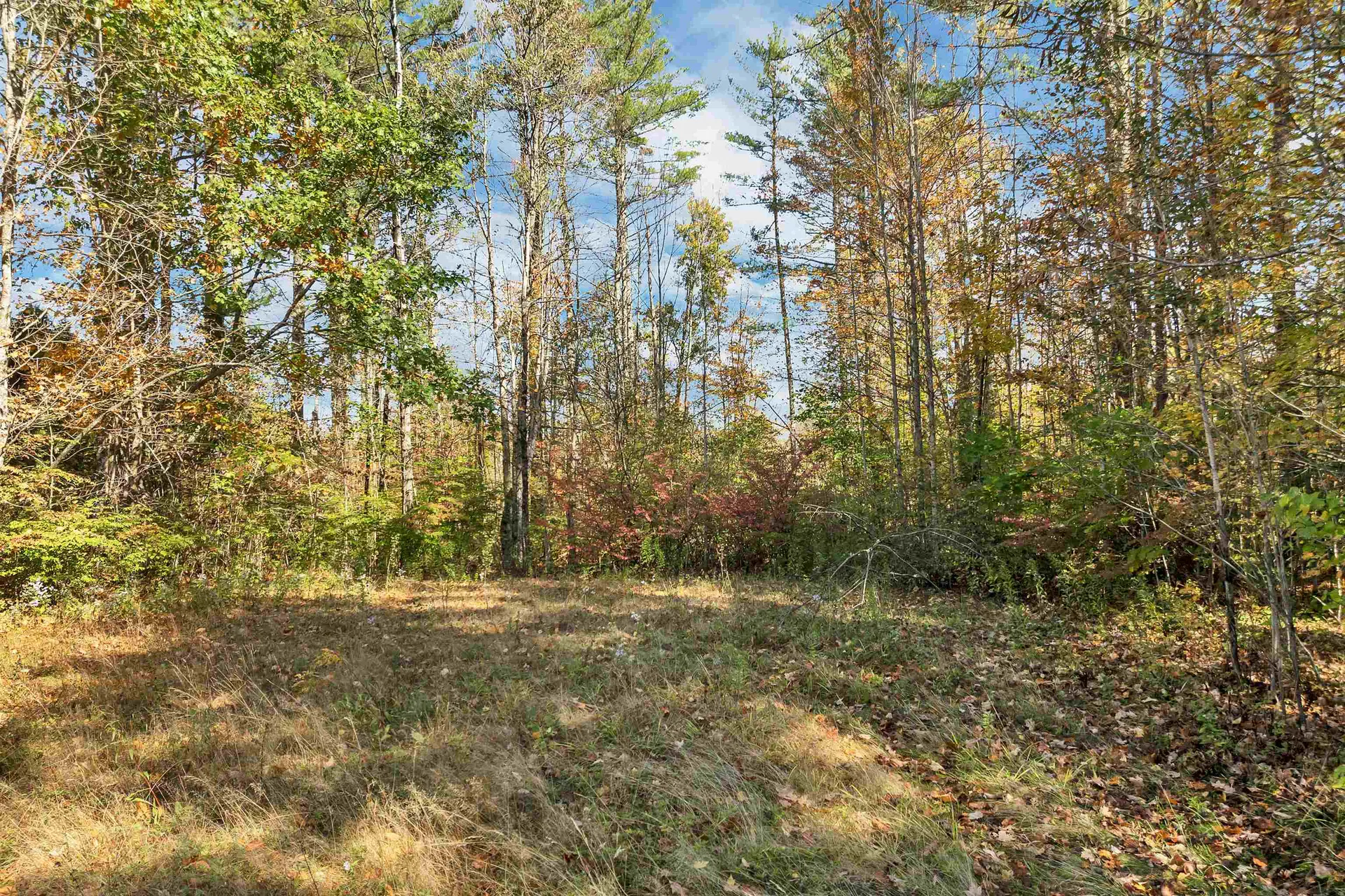 Eastside Road Wentworth NH 03282