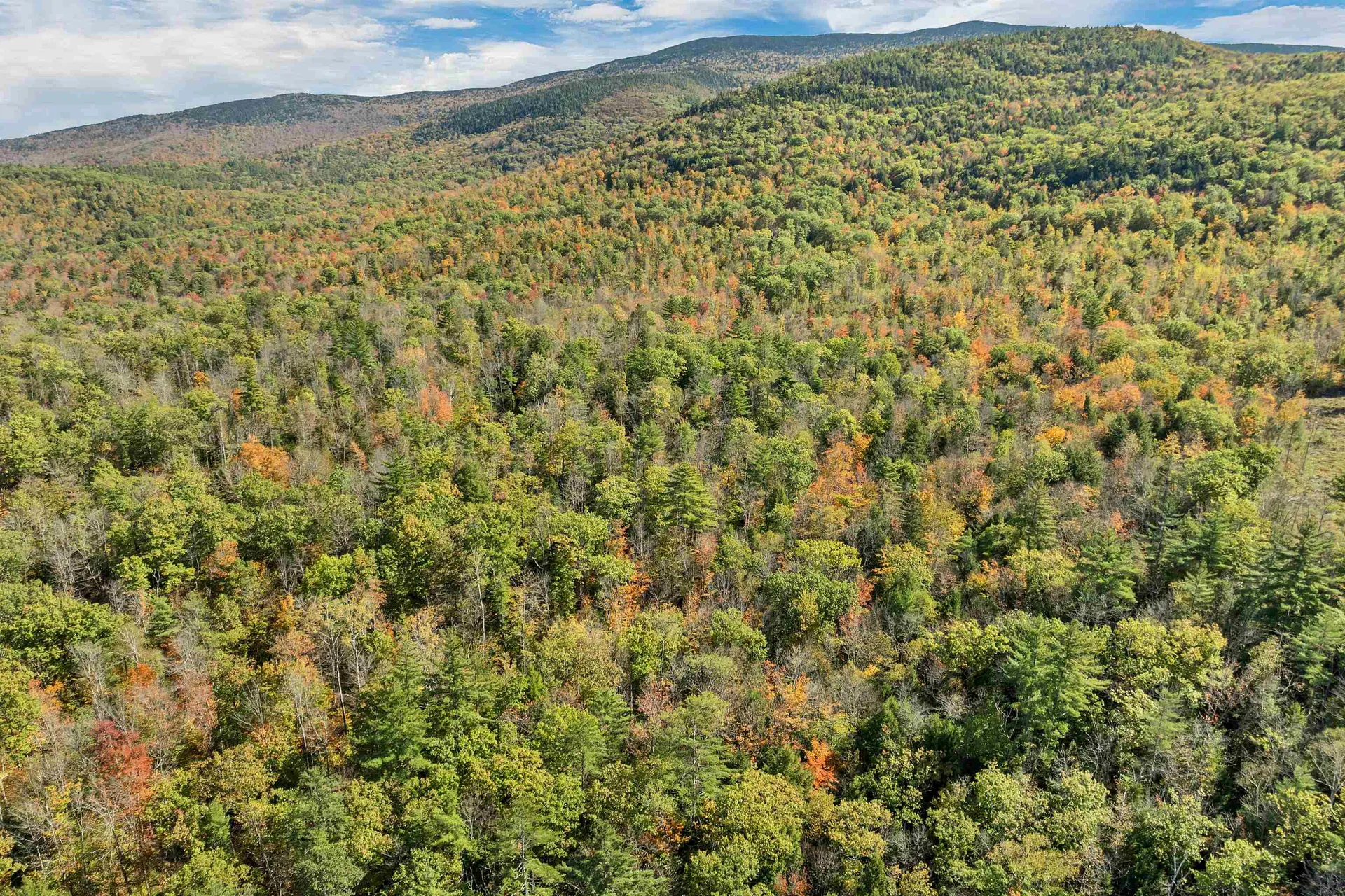 Eastside Road Wentworth NH 03282