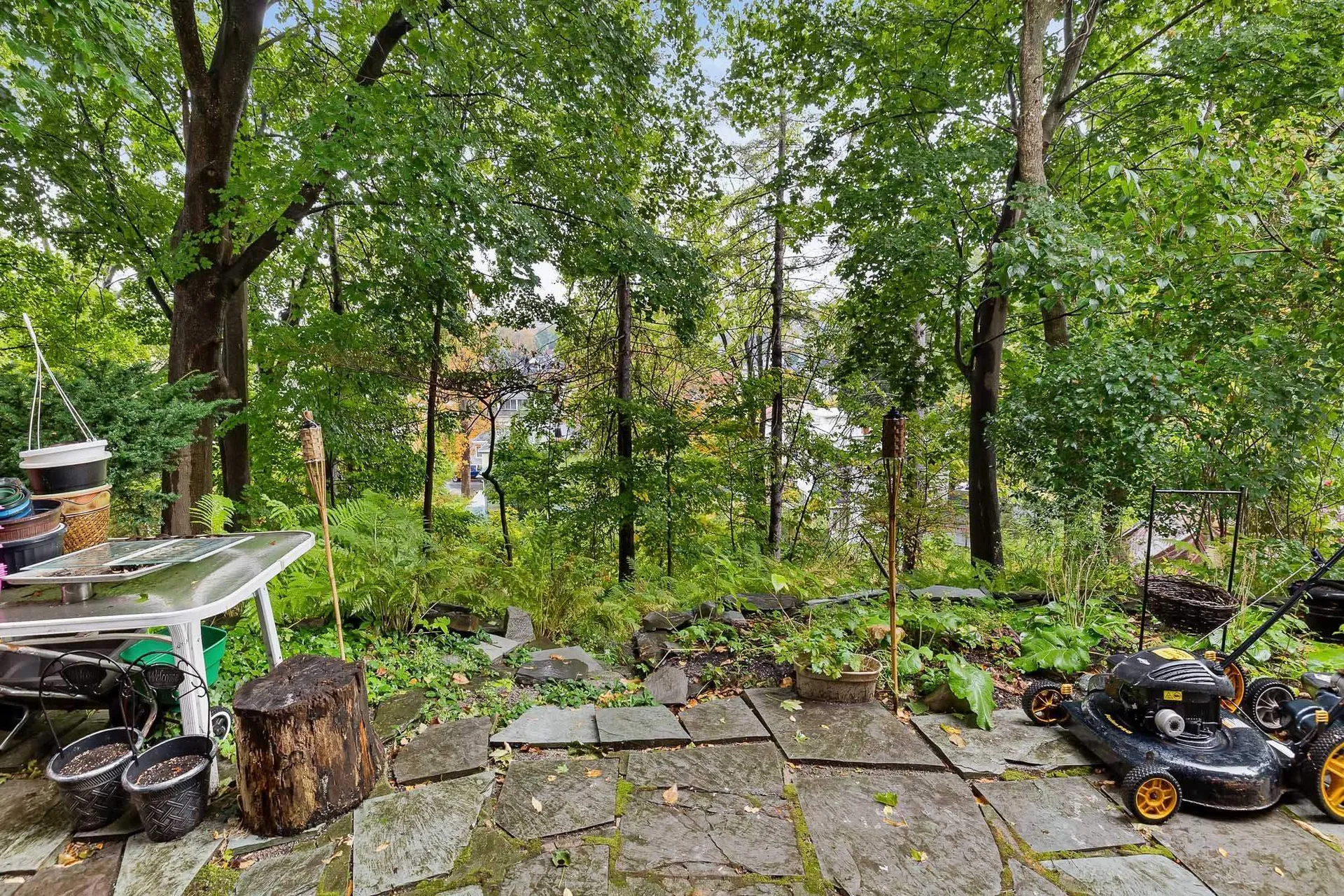 91 Tremont Street Barre City VT 05641