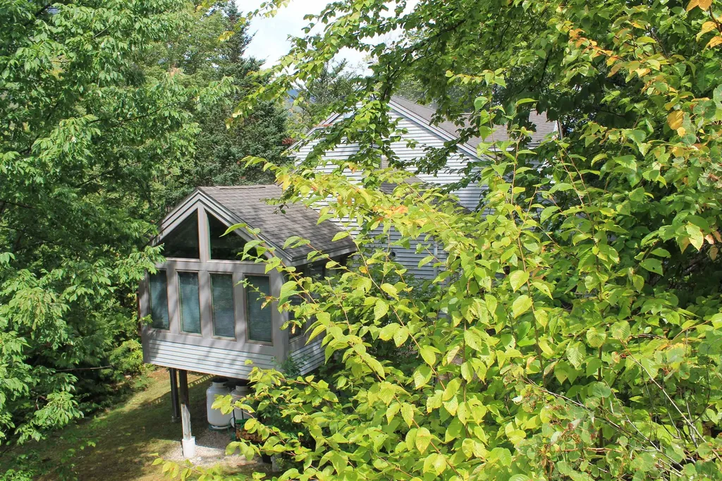 107 Black Mountain Road Lincoln NH 03251