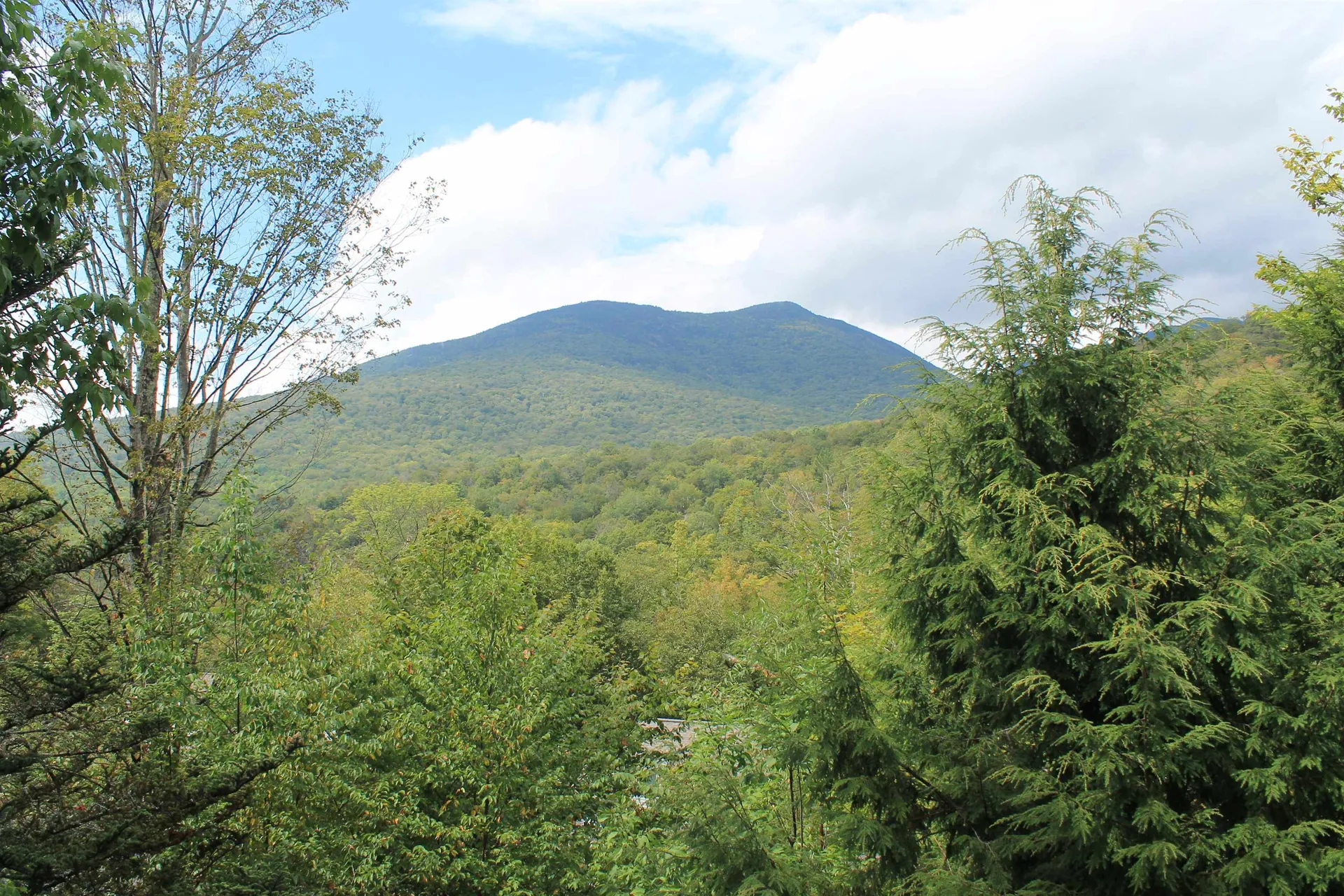 107 Black Mountain Road Lincoln NH 03251