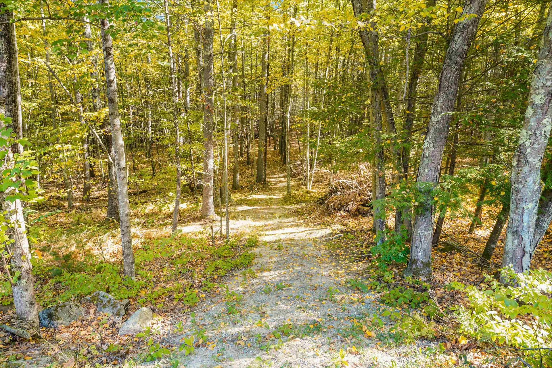 156 Piscassic Road Newfields NH 03856