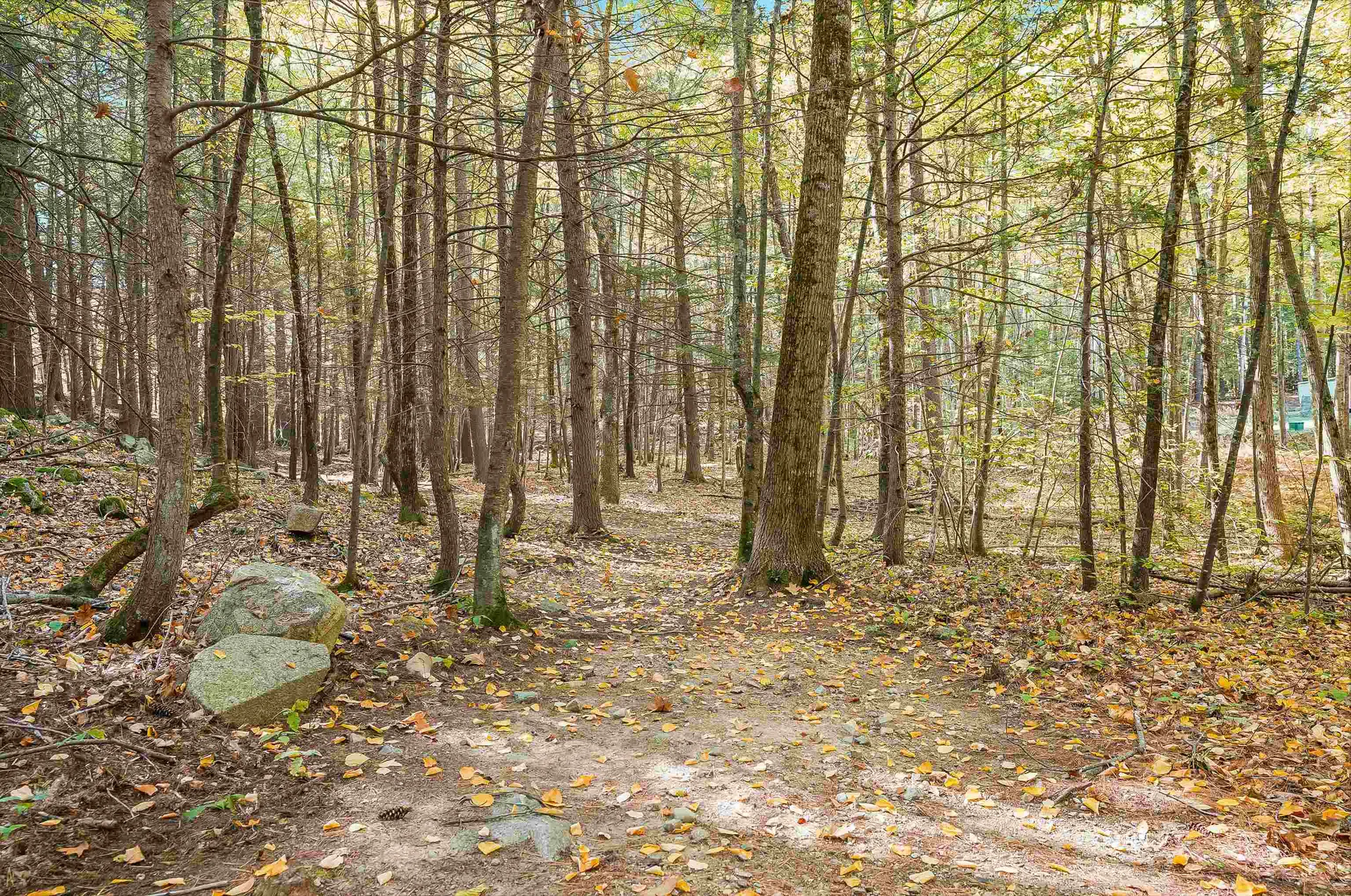 156 Piscassic Road Newfields NH 03856