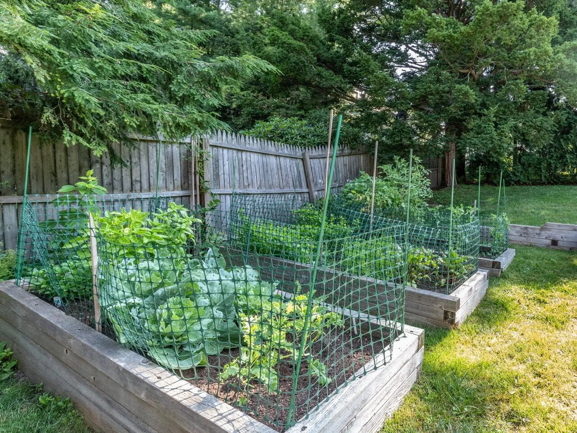 44 Overlake Park Burlington VT 05401