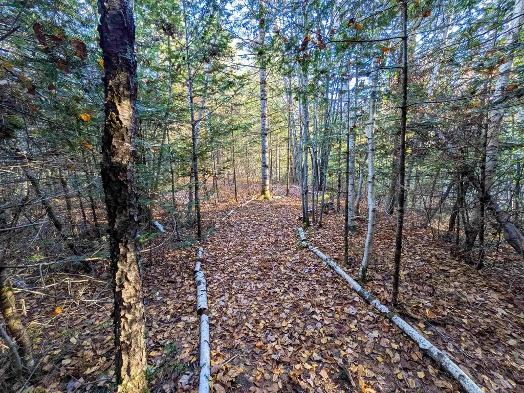 0 Nutting Road Sunapee NH 03287