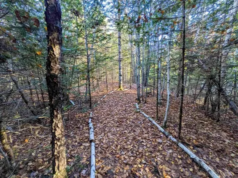 0 Nutting Road Sunapee NH 03287