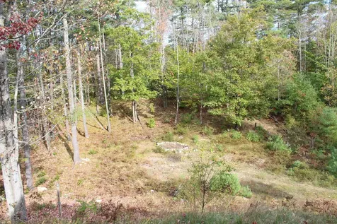 8 Eliot Drive Wakefield NH 03830